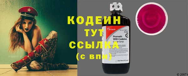 прущие грибы Нязепетровск