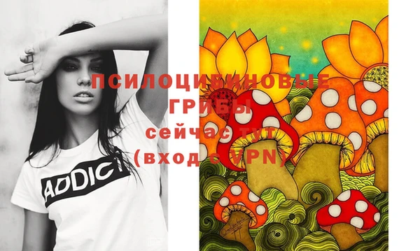 гидропоника Новодвинск