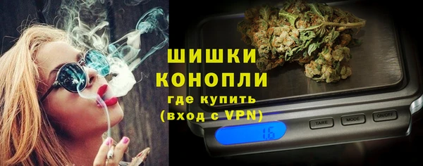 прущие грибы Нязепетровск