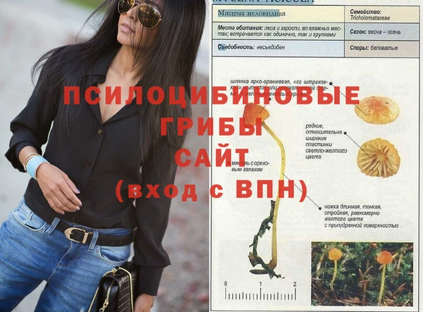 хмурый Новокубанск