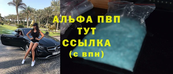 прущие грибы Нязепетровск