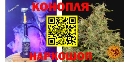 трава Бийск
