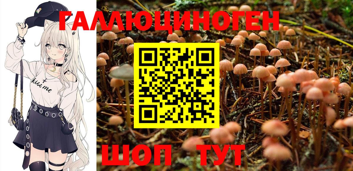 Унеча  Галлюциногенные грибы ЛСД  Вход с VPN 